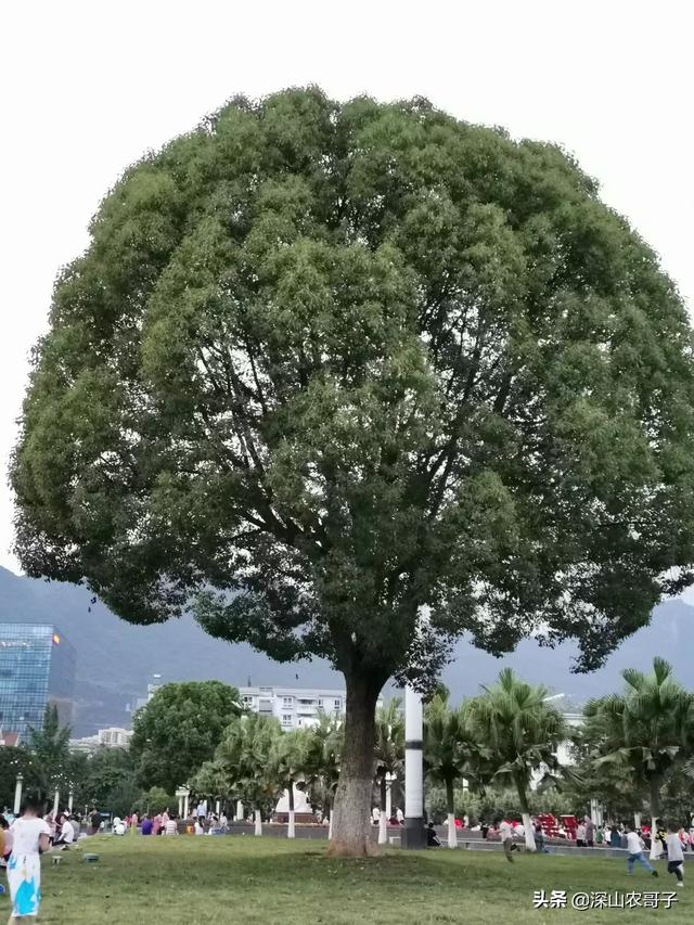 兴山必去景点推荐一下图片(图7)