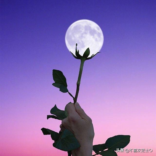 比较阳光温暖的网名_比较阳光温暖的网名两个字
