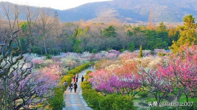 国内旅游怎么比较华算-国内旅游什么意思