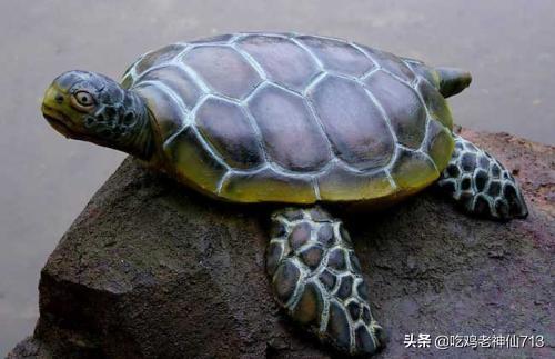 最强蜗牛乌龟 最强蜗牛乌龟怎么消灭-第1张图片-Game优搜