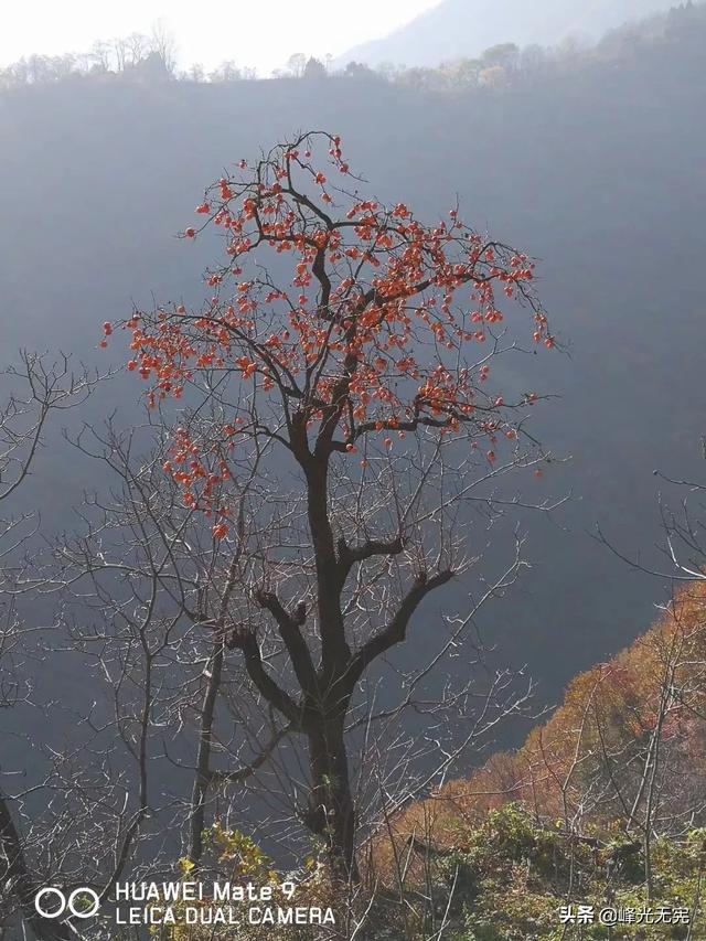 农家乐旅游穿搭， 农家乐旅游穿搭图片