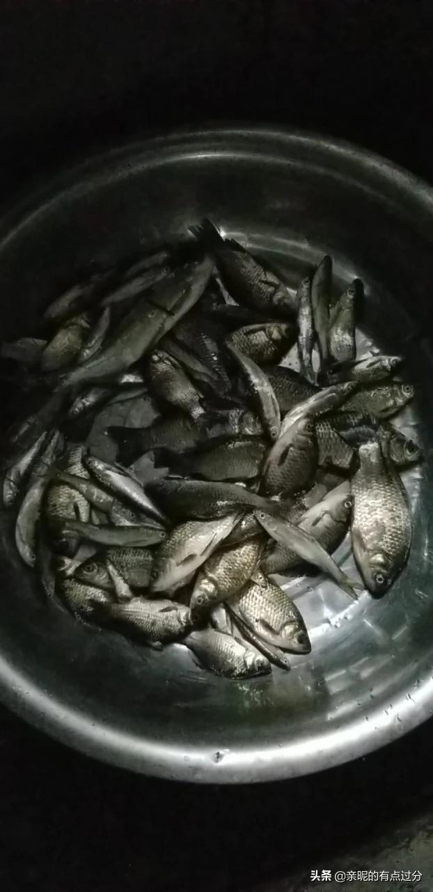 钓鲫鱼鱼钩如何搭配好看(图26)