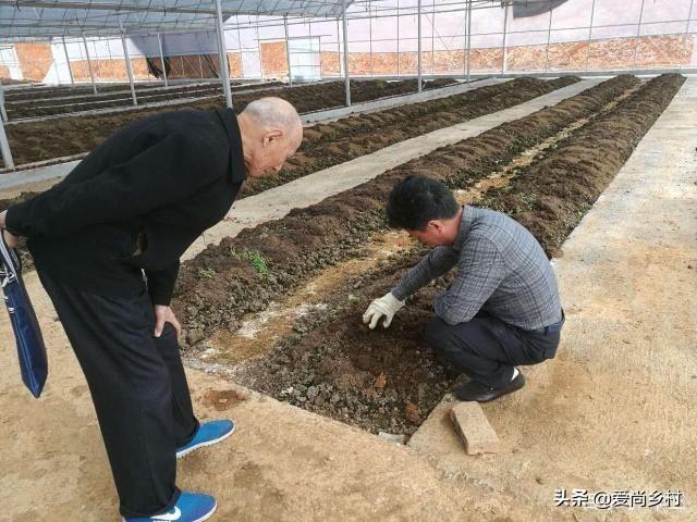 奶牛镇的小时光鱼饵商人,奶牛镇的小时光 鱼饵