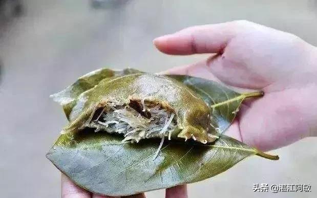 广东湛江美食做法（湛江小吃糍粑的做法？）