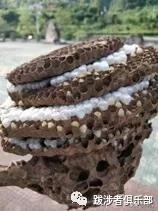 云南曲靖市麒麟区烧烤民宿最新价格怎样,曲靖市麒麟区可以烧烤的地方