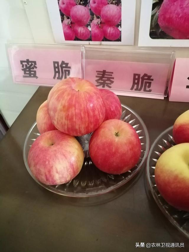 阿克苏mg汽车报价,阿克苏新车报价