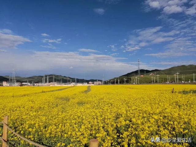 大同梅菜扣肉的做法家常菜做法