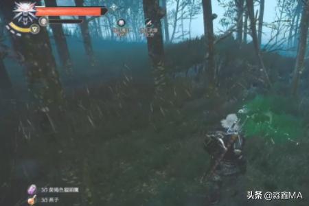 巫师3支线，老鼠之塔，任务攻略？