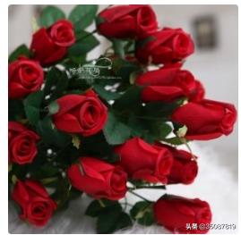 永生花是真花还是假花（永生花能保持多久）