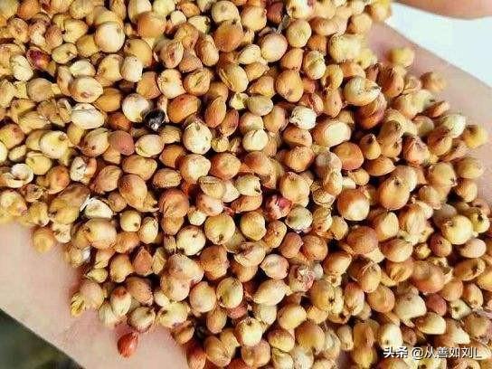 自贡双胞胎饲料-自贡双胞胎饲料有限公司