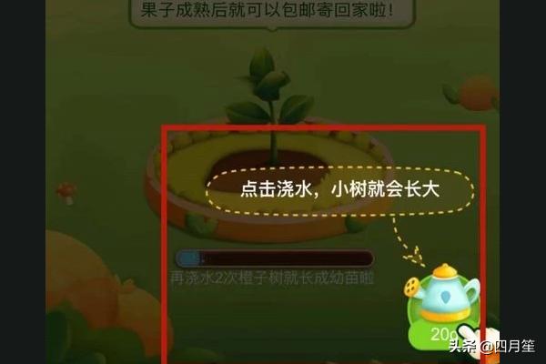 多多果园树木的种植方法,多多果园种树技巧