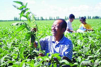 人生四大累是什么