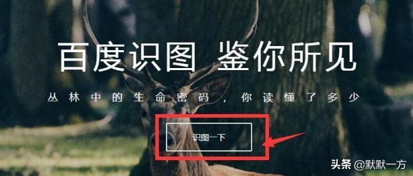 图片搜索软件（拼多多app支持拍图搜同款吗？）