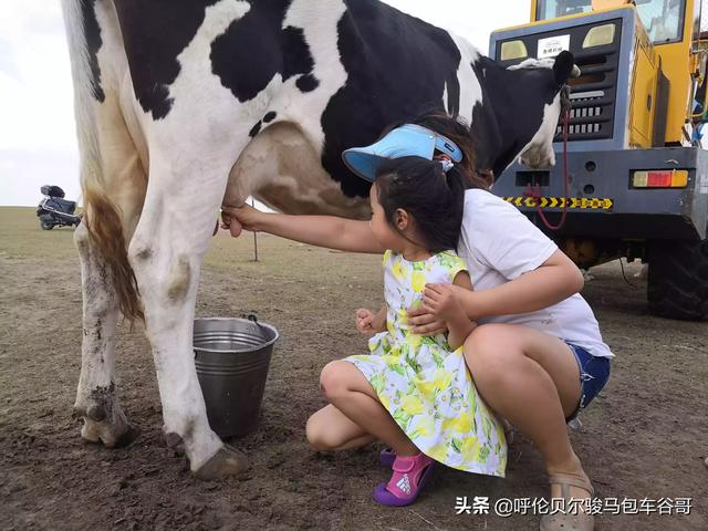丰宁坝上草原景点门票价格， 丰宁坝上草原景点门票价格多少