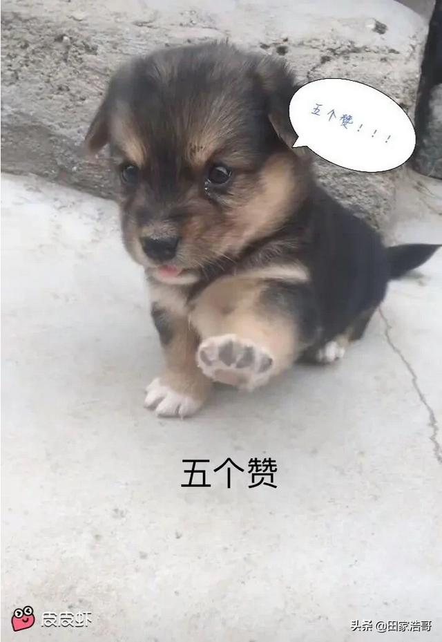 形容受益匪浅的句子或一段话