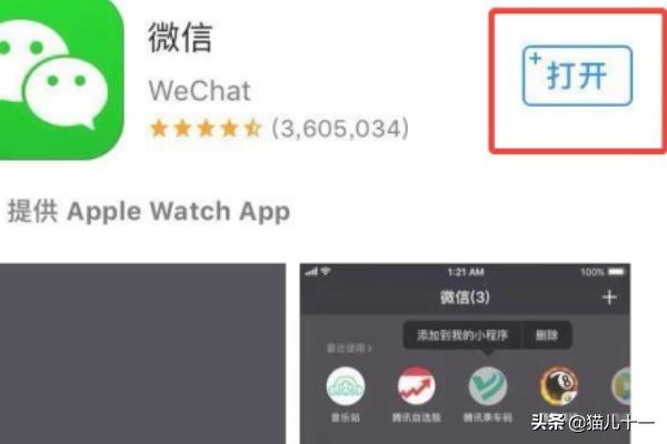 app开发苹果