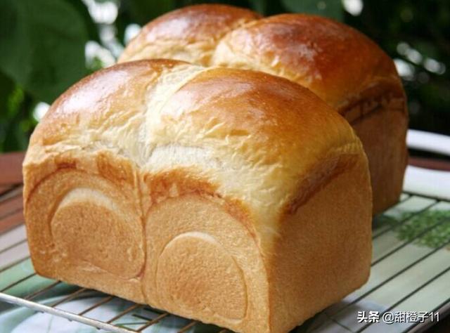 一夜之间的天才（一夜之间的天才概括）