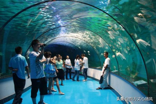 乐陵海外生活，乐陵海外生活物流电话