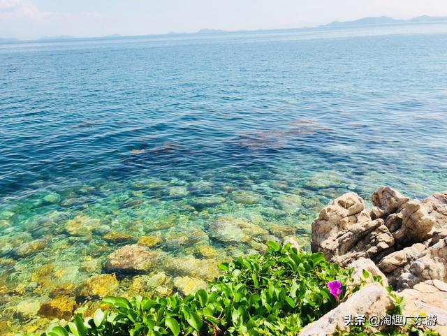深圳市哪个海滩好看一点