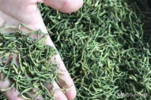 自制金银花怎么吃最好(图5)