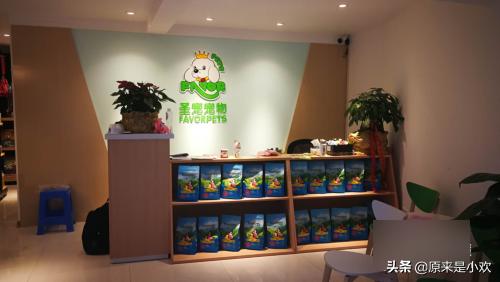 宠物店的经营范围有哪些