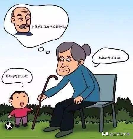 仿真恐龙租赁（常州中华恐龙园车怎么租赁？）
