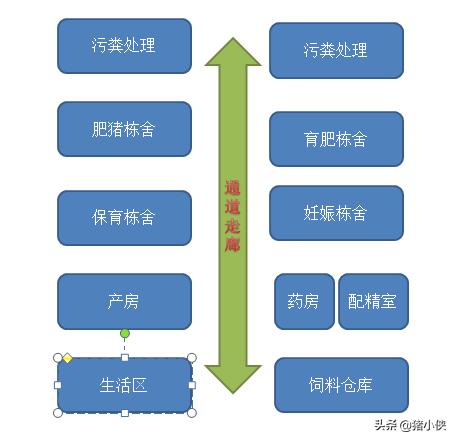 农村小型生态猪养殖场如何建-农村小型生态猪养殖场如何建设