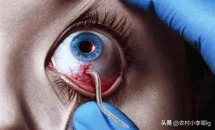 你能猜到这部剧名吗，你能猜到这部剧名吗英语