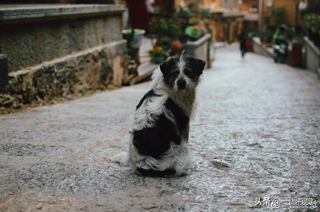 香格里拉旅游网-香格里拉旅游网站