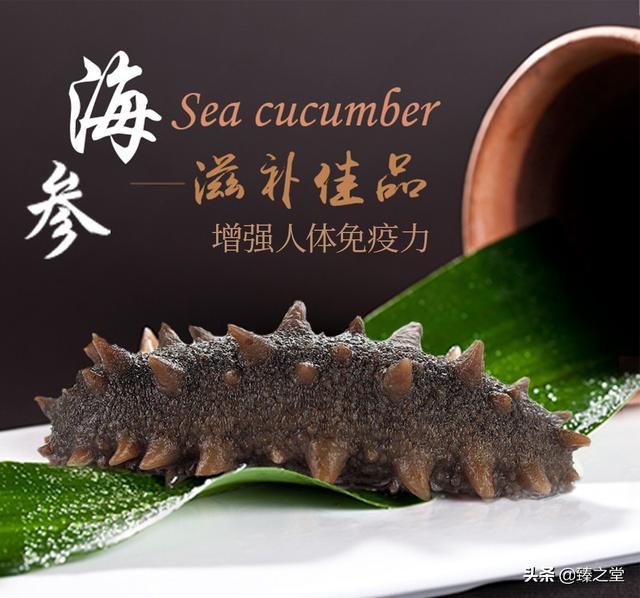 海参有什么特点和功效(图4)