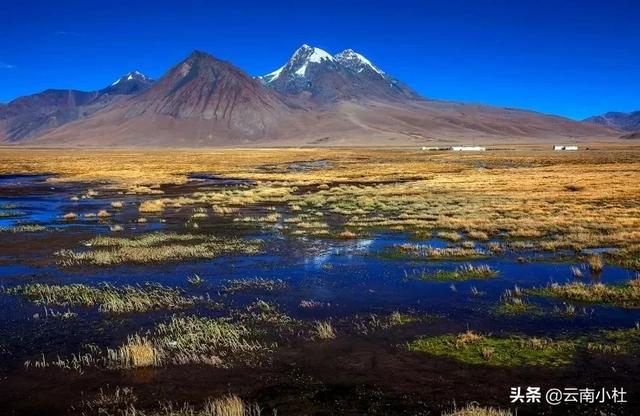 跑外卖哪个平台好