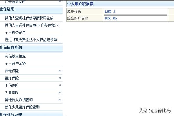 深圳社保网站个人查询，深圳社保网站个人查询官网