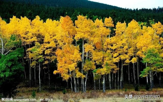 秋季运动会说说心情的句子,形容秋天的心情的句子