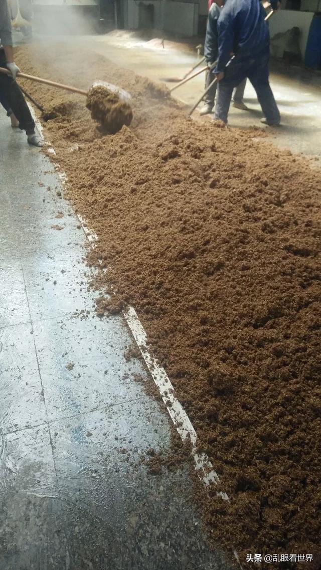 大小串串烧安卓版 大小串串烧-第1张图片-随然AIR主题