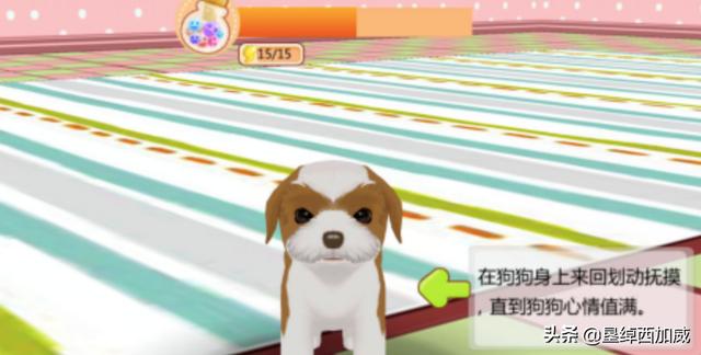 心动小狗结婚攻略 心动小狗结婚攻略免费阅读  第4张