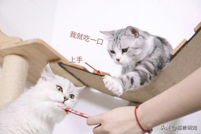 三天没有拉大便怎么办(图2)