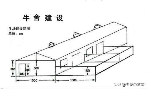 10头牛舍建造图解视频 养牛怎么建造牛舍？