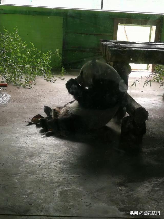 [坏处]发生安全事故的后果有哪些