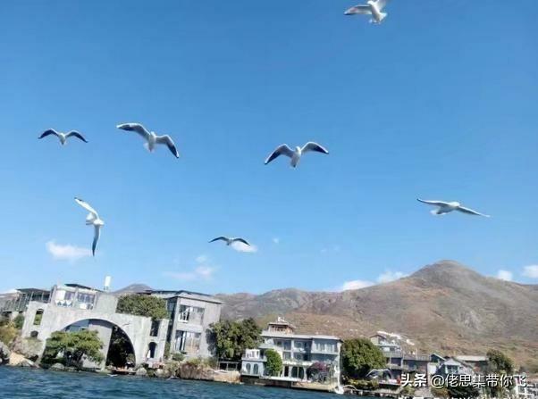 带80岁老人出国旅游，哪里比较好