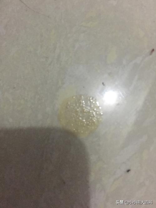 老鼠尿味怎么去除