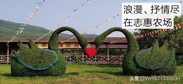 过年广州市有什么农庄