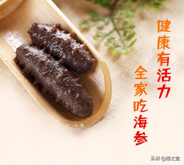 海参有什么特点和功效(图17)