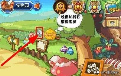 洛克王国土灵石怎么得？洛克王国灵石
