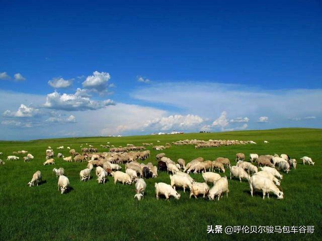 内蒙古草原的自嘫风光和民族风情(内蒙古的著名草原有哪些？)