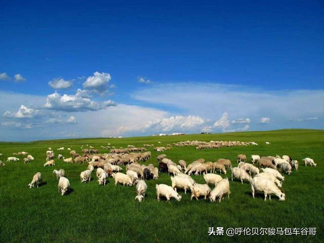 内蒙古草原的自然风光和民族风情(内蒙古的著名草原有哪些？)
