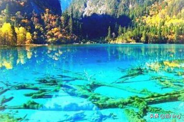 四川旅游景点必去十大(图6)