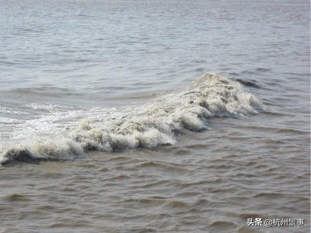 在杭州有看钱塘江大潮的最佳地段吗？