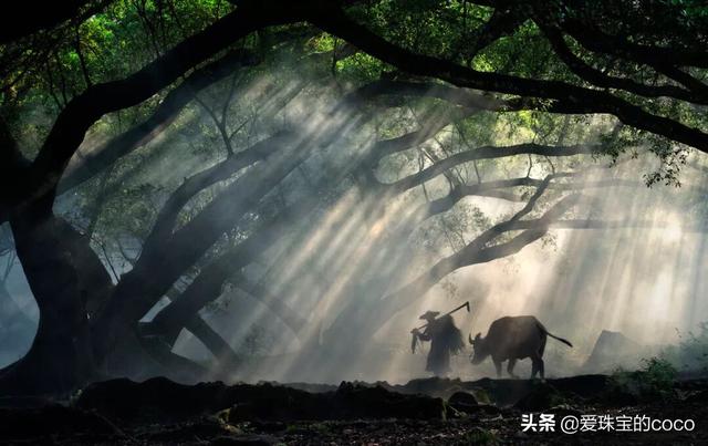 宁德杨家溪旅游攻略，宁德杨家溪旅游攻略一日游