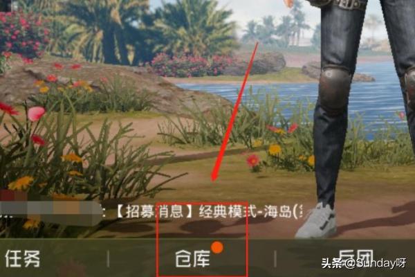 吃鸡背包怎么保存图片(图6)