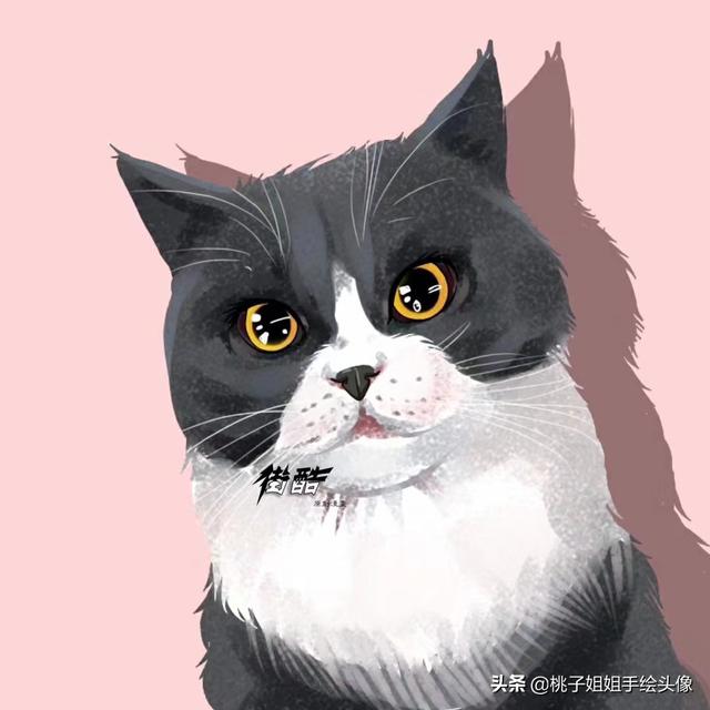 动物的故事图片（动物的故事图片大全）